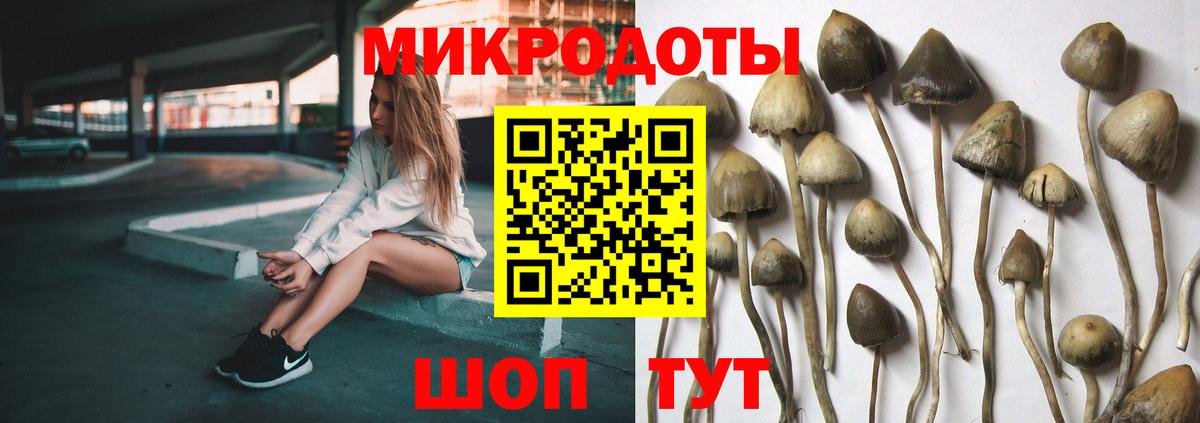 Нерюнгри  Галлюциногенные грибы MAGIC MUSHROOMS  Вход с VPN 